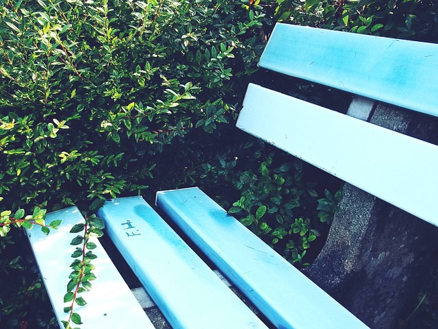 高开低走！公牛7连败之后跌出东部前十